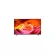 Sony KD-50x75K (50 inches) | 4K Ultra HD | High Dynamic Range (HDR) | Smart TV (Google TV)