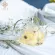 CHAR White Chrysanthemum Tea ชาเก๊กฮวยขาว 10 Packs / box