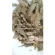 Western leaves, dry leaves, herbs, foreigners / "Want to invest health Think of Tha Prachan Herbs "