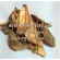 Red flow tail, red flow powder or Lo Ting / "Want to invest in health Think of Tha Prachan Herbs "