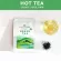 Green tea leaves USDA organic size 40 grams. Hot Tea / Iced Tea / Cold Brew / Kombucha and ETC.