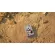 Seagate Special Edition Firecuda Starwars Mandalorian Seagate External HDD 2TB ลิขสิทธิ์แท้ 100%