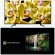 Bravia Sony49 inch KD49X7000G 1 year warranty. Highdynamicrange8 megapixel 4K Ultra HD Internet Wifi Building LAN Smart Digital TV