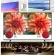 Samsung60 inch UA60AU8100KXXT Digital Smart4K, HDMI+USB+AV+DVD+order with LAN audio, free Wifi, free air purifier, PM2.5