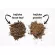 Hojicha 1 kg | โฮจิฉะแท้ 100% จากญี่ปุ่น ขนาด 1 กิโลกรัม