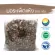 500 grams of dry coats / "Want to invest in health Think of Tha Prachan Herbs "