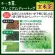 Itoen Premium Green Tea, authentic Japanese green tea Pyramid bag Drink for health