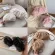 Fashion Elegant Cloud Women Clutch Baguette Shape Bag Pleated Dumppling Shoulder Messenger Bag Phone Cute Lady Crossbody Bag