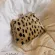 Fashion Chain Design Leopard Crossbody Bag for Women 2020 Winter FeMale Shoulder Handbag Small New Women Bags