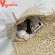Yogodlns Hot Mmer Women Tasssels Straw Rattan Wicer Weave Oulder Bags Handbag Flap Ladies Holiday Beach Crossbody Bag