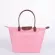New Women Bags Famous Designer Handbags Beach Bags Ca Leather Nylon Waterproof Tote Bags Bolsas Finina
