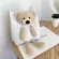 Cute Women Canvas Handbags L-Match Ladies Oulder Bag Fe Eco Reusable NG Bags Large Capacity Girls Ca Tote