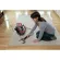 BISSELL SpotClean Pet Pro 15585 750W เครื่องซักเบาะ พรม ขจัดคราบอเนกประสงค์