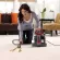 Bissell Proheat Spot Cleaner, a multi -purpose removal machine on the car carpet sofa, 1 year warranty