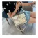 Large Crocodile Pattern Designer Crossbody Oulder Bag Hi Capacity Luxury Pu Leather Pu Leather Totes Bag Chain Clamell Handbag