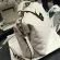 Women Handbag Genuine Leather Handbag Doctor Bag Women Oulder Bag Sml Plaid Rivets Crossbody Handbag Women Bags35