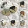 Women Straw Bag Rattan Wen Round Handbag Nitted Mesger Se Oulder Hot