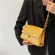 Crossbody Bag for Women SAC A Main Fe Oulder Bag Fe Handbags and SES with Handle
