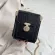 Luxury Designer Women's Mesger Bag Crocodile Pattern Loc Portable Chain Bag New Product One-Derlder Mobile Phone Bag