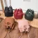Women's Bag New Lychee-Print BuCet Bag One-Derder Bag Mini Bag Oblique Cross Bag Girl