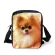 Instantarts Cute Anim Pomeranian Dog Print Women Mini Crossbody Bags Hi Quity Fe Mesger Bag Brand Designer Handbags
