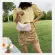 Cr Ladies Underarm Bag Sml Soft Nylon Women Hobos Oulder Bags Fe Baguette Handbags Bolsa Finina