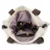 New Orean Canvas Oulder Bag Ca Portable Foreign Trade Diagon Pge
