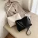 Ins Hot Women's Bag Winter New Oulder Bag Cool Hong Style Versa Net Red Mesger Bag
