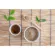 100% Hojacha powder 50 grams