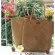 New Women Straw Bag Wen Handbag Se Crossbody Boho Beach Mmer Bags