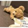Hot Girls Cute Smile Cartoon Soft H Handbag Anim Oulder Bag H Doll Lolita Handbag Crossbody Satchel