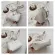 New Mmer French Underarm Bag Popular Texture White Women's Oulder Bag Crocodile Pattern Women's Bags Sml Bag