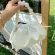 Pearl Tote Cloud Bag New Hi-Quity Soft Leather Women's Designer Handbag Elnt Travel Oulder Mesger Bag