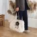 Winter Handbag Designer Women's H Oulder Bags Soft Fur Hobo Handbag Women Large Capacity SEAC