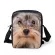 Forudesigns Cute Anim Cat Dog Print Women Mesger Bags Ca Ladies Girls Cross Body Mini A Bag Bolsa Finina