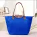 Famous Brand Lady Bag Oulder Bag Handbag Waterproof Nylon Leather Beach Bag Designer Folding Handbag Bolsa Sac Finina