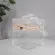 Women Acrylic Clear Se Cute Transparent Crossbody Bag Lucite See Throu Handbags Ning Clutch NTS Stadium ARD