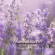 กิฟฟารีน Giffarine สเปรย์ปรับอากาศ กลิ่นลาเวนเดอร์ Lavender Air Freshener 100 ml 84031