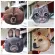 M431 Cute Anim Print Cat Dod Rabbit Panda Hasy Bulldog Soft Mesger Bags Oulder Bag Girl