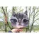 M431 Cute Anim Print Cat Dod Rabbit Panda Hasy Bulldog Soft Mesger Bags Oulder Bag Girl