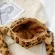 Winter New Oulder Bag Pard Pattern H Mesger Bag Fe Soft Warm F Fur Bag Crossbody Bag