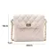 S.IRR Chain Handbag for Women Winter Women Tend Brandd Classic Oulder Handbags and SES Women's Luxury Hand Bag