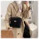 S.IRR Chain Handbag for Women Winter Women Tend Brandd Classic Oulder Handbags and SES Women's Luxury Hand Bag