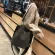 Vintage Tassel Crossbody Bucet Bag Luxury Woman Bag Fe Oulder Handbags Dratring Mesger Crossbody Bags Sac Main