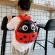 Children's school bag/New Fashion Cartoon Kindergarten Boys and Girls Backpack Western Style Baby Eggshell Bag