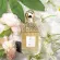 JEANMISS น้ำหอมผู้หญิง AQUA ALLEGORY 100ML มีให้เลือก 3 กลิ่น หอมกลิ่นธรรมชาติจากผลไม้ แพ็คเกจสวย ติดทนนาน พร้อมส่ง