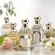 JEANMISS น้ำหอมผู้หญิง AQUA ALLEGORY 100ML มีให้เลือก 3 กลิ่น หอมกลิ่นธรรมชาติจากผลไม้ แพ็คเกจสวย ติดทนนาน พร้อมส่ง