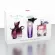 JEANMISS น้ำหอมผู้หญิง 3 ขวด (ยกเซต) ROMANTIC ขนาดพกพา 25ML กลิ่นหอมฟรุ๊ตตี้ ติดทนนาน ไม่ฉุนเกินไป กลิ่นดอกไม้