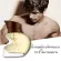 JEANMISS น้ำหอมผุ้ชาย CHASTITY  Eau de Parfum 100ML ติดทนนาน 12 ชั่วโมง เป็นน้ำหอมสำหรับหนุ่มที่ชื่นชอบการผจญภัยและดื่มด่ำกับธรรมชาติ สื่อถึงความเป็น