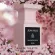 JEANMISS 3 IN 1 30ML*3 เซตน้ำหอมผู้หญิง กลิ่นหอม หวาน ติดทนจนหมุ่นๆหลงไหล หลากหลายกลิ่นในกล่องเดียว